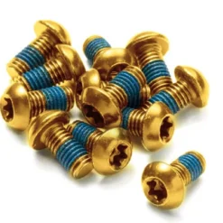 Reverse E-bike Bremsscheibenschrauben Set -Shimano Fahrradladen bremsscheibenschrauben reverse gold