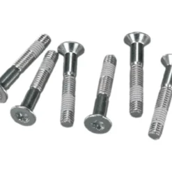 Rohloff Achsplattenschrauben Torx 6 Stück