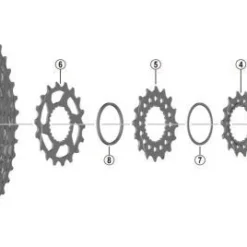 SHIMANO Ritzel Für 12-fach Kassetten XTR | XT | SLX | DEORE 10+12 Zähne